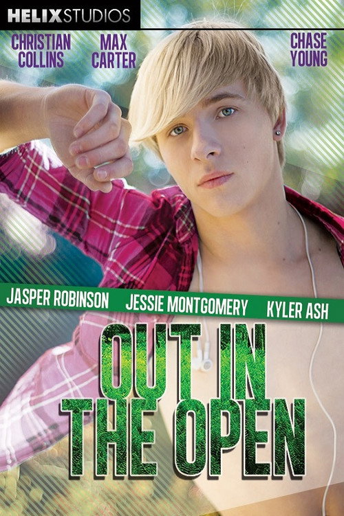 Movie poster for Out in the Open (2013)