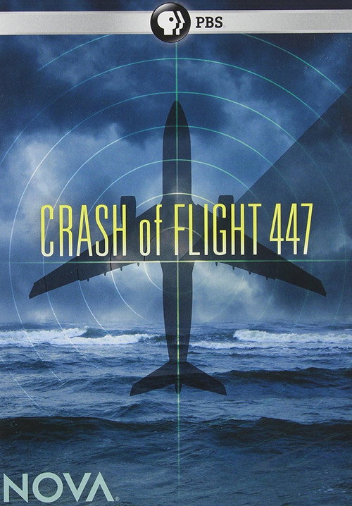 Movie poster for Crash of Flight 447 (2010)