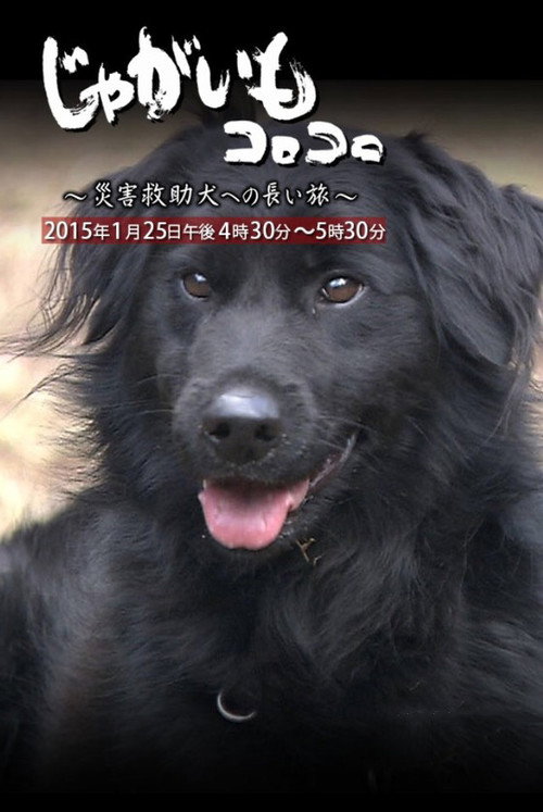 Movie poster for Jagaimo Korokoro ~ Saigai Kyūjo Inu e no Nagai Tabi (2015)