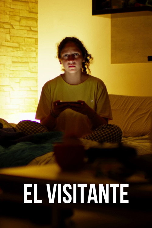 Movie poster for The Visitor