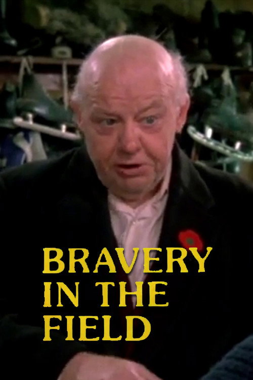 Movie poster for Bravery in the Field (1980)