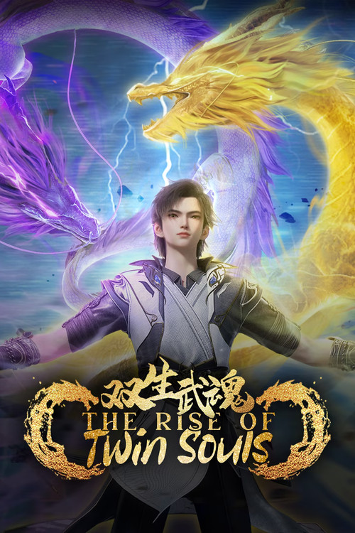 Series poster for The Rise of Twin Souls (2025)