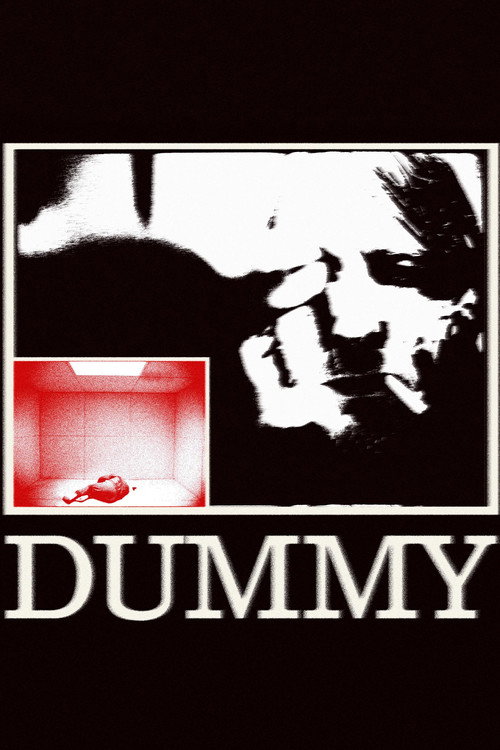 Movie poster for Dummy