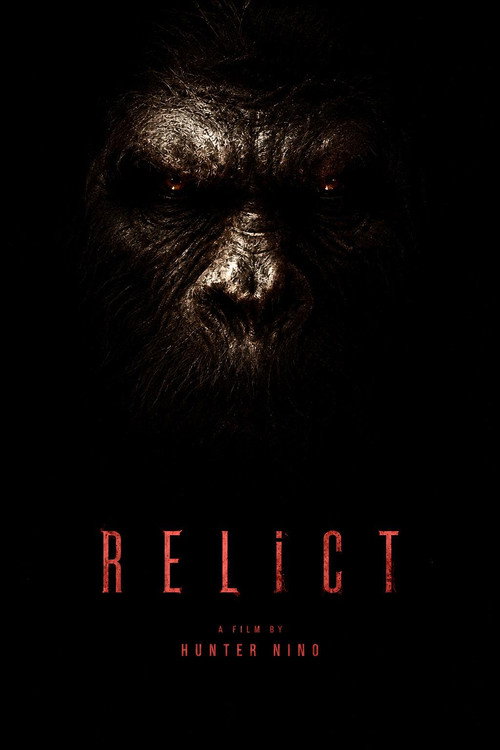 Movie poster for Relict