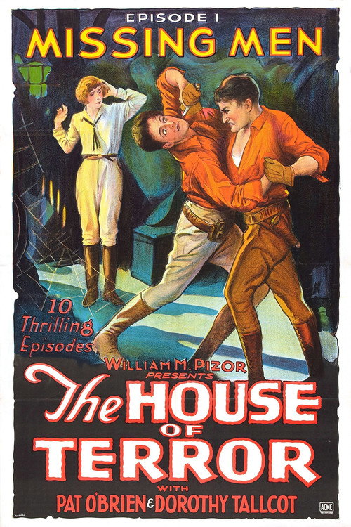 Movie poster for The House of Terror (1928)