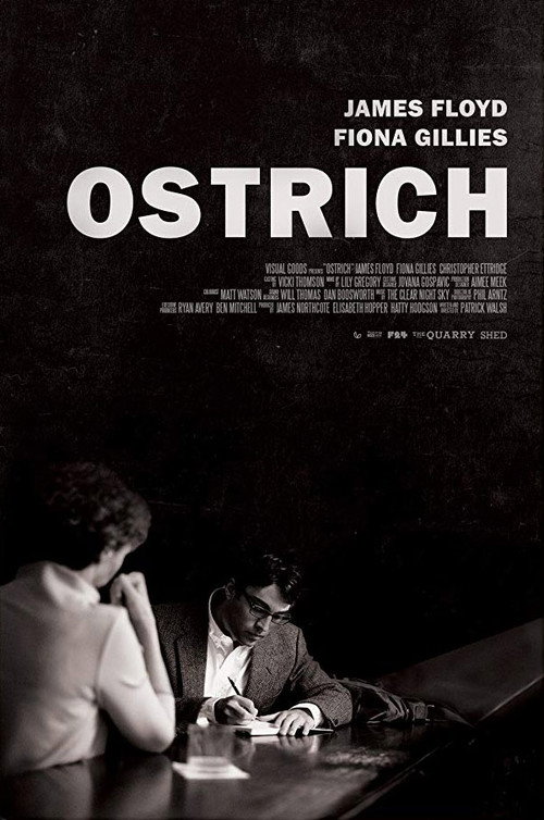 Movie poster for Ostrich (2017)