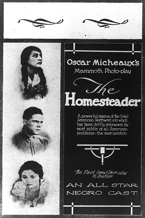 Movie poster for The Homesteader (1919)