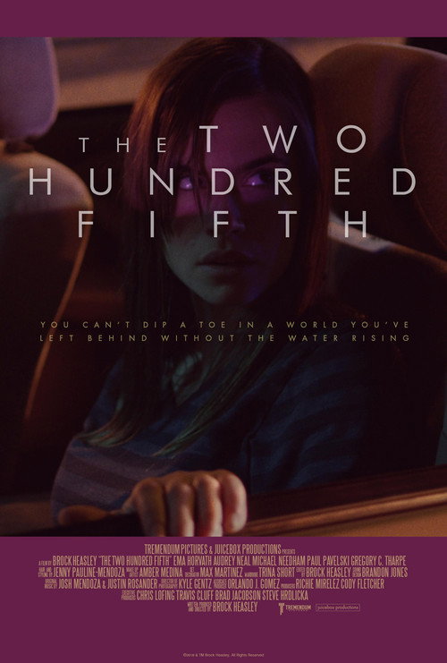 Movie poster for The Two Hundred Fifth (2019)