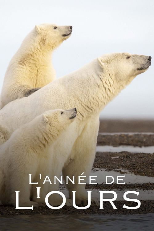 Movie poster for L'Année de l'ours (2024)