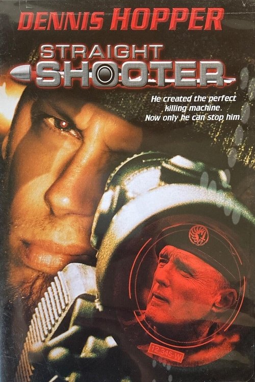 Movie poster for Straight Shooter (1999)