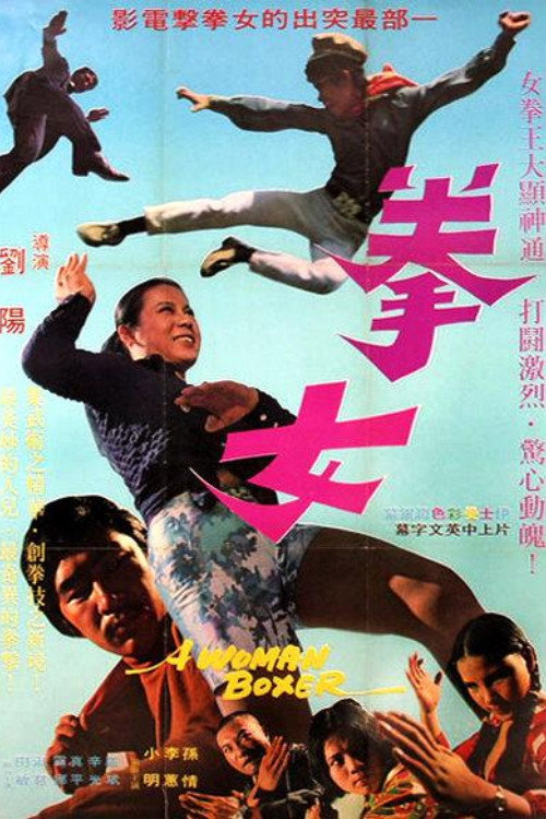 Movie poster for A Woman Boxer (1972)