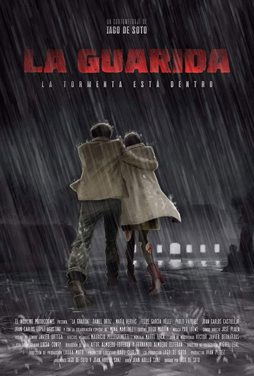 Movie poster for The Den (2018)