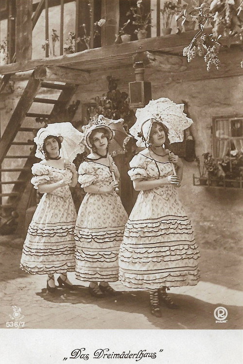 Movie poster for Das Dreimäderlhaus (1918)