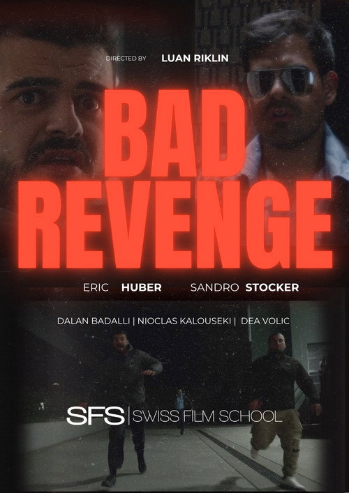 Movie poster for Bad Revenge (2025)