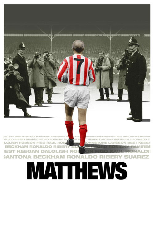 Movie poster for Matthews (2017)