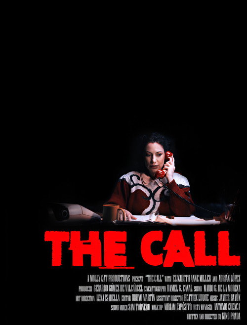 Movie poster for The Call (2025)