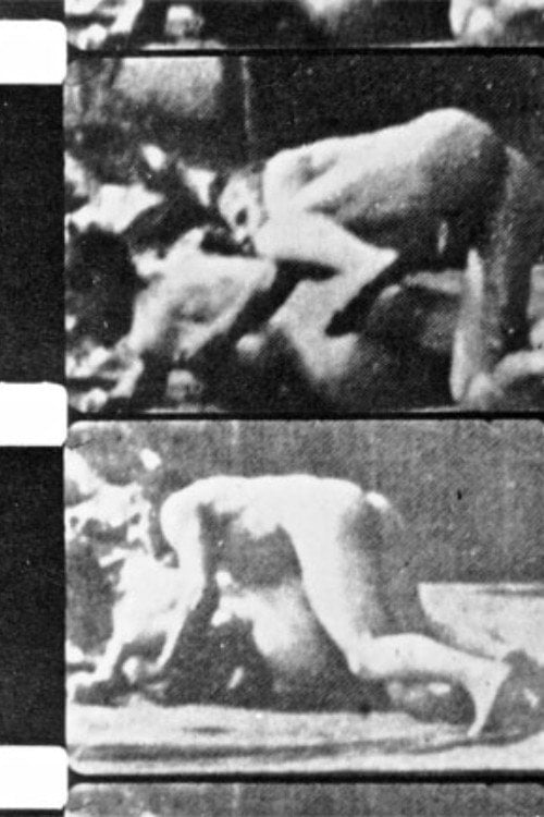 Movie poster for Filming Muybridge (1981)