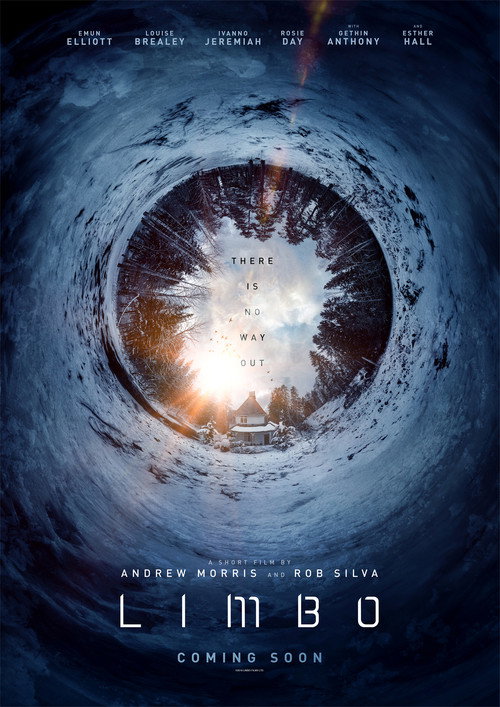 Movie poster for Limbo (2021)
