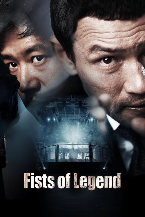Movie poster for Fists of Legend (2013)