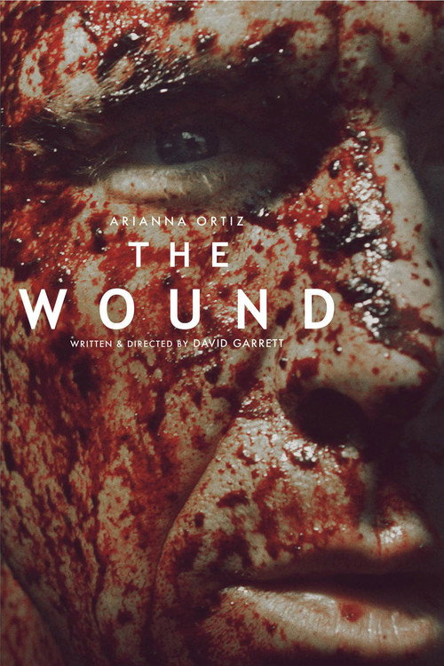 Movie poster for The Wound (2013)