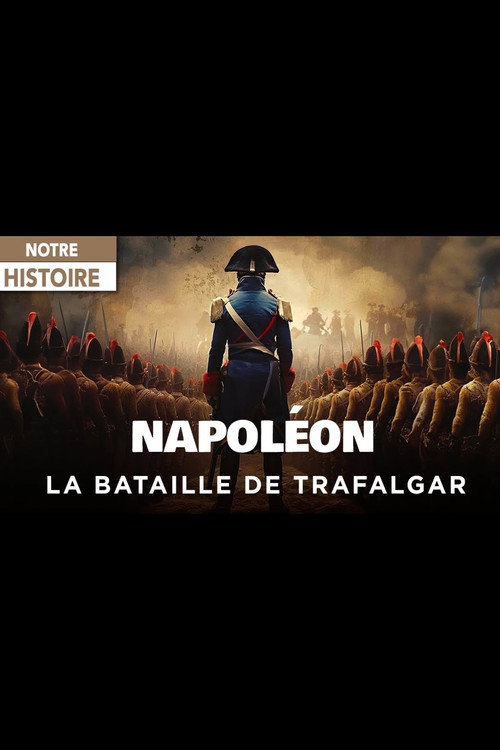 Movie poster for Napoléon et la Bataille de Trafalgar : Le rêve d’une conquête (2006)