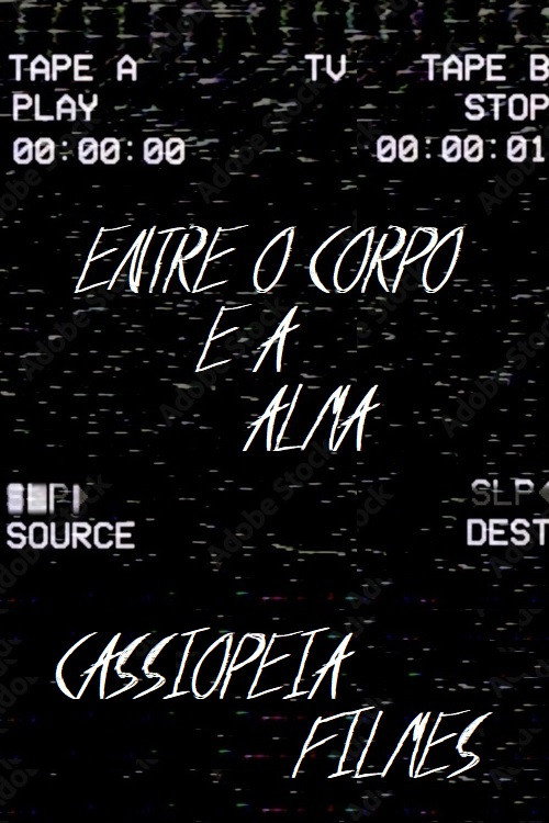 Movie poster for The last VHS