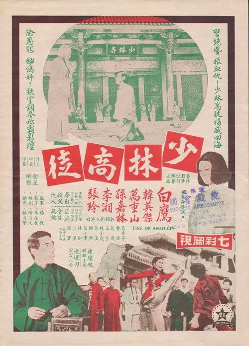 Movie poster for Fist of Shaolin (1975)