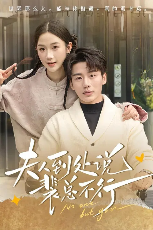 夫人到处说裴总不行 poster