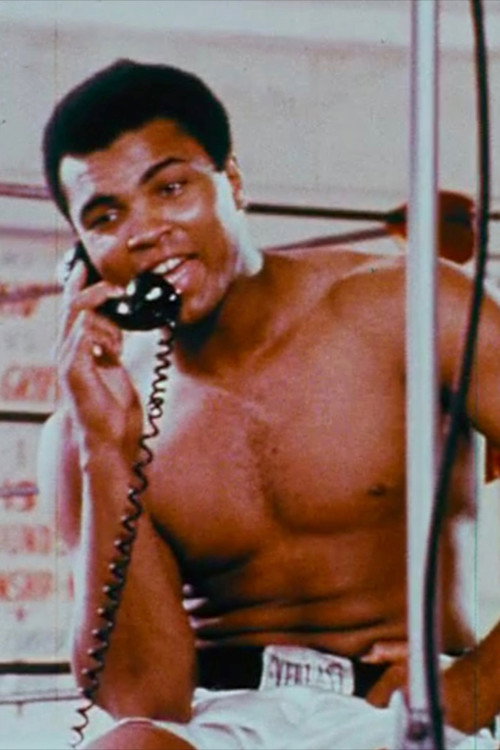 Movie poster for The Fight (1974)
