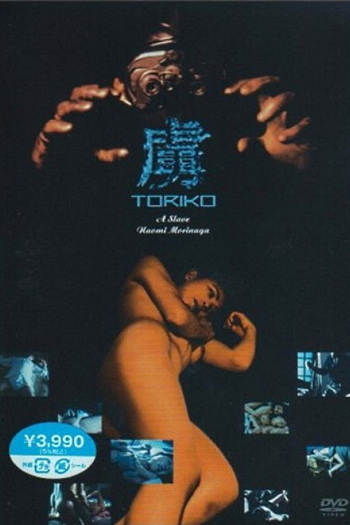Movie poster for Toriko: Eyes of a Rapist (1995)