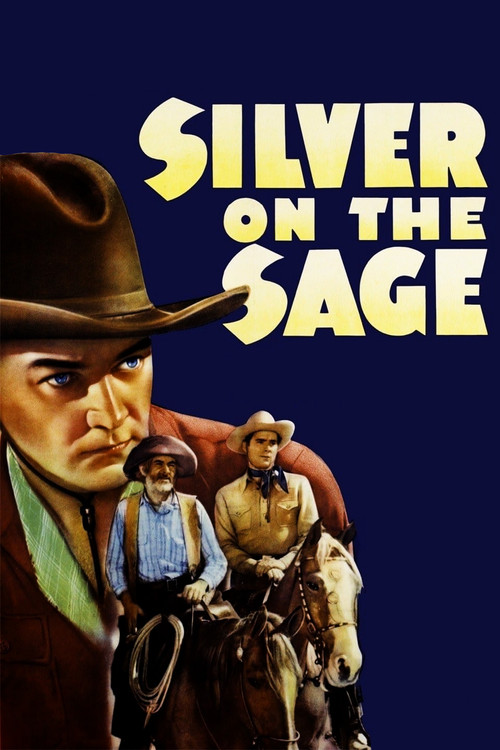 Movie poster for Silver on the Sage (1939)