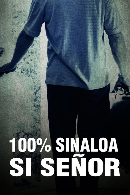 Movie poster for 100% Sinaloa, Yes Sir (2013)