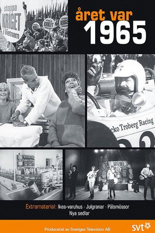 Movie poster for Året var 1965 (2015)