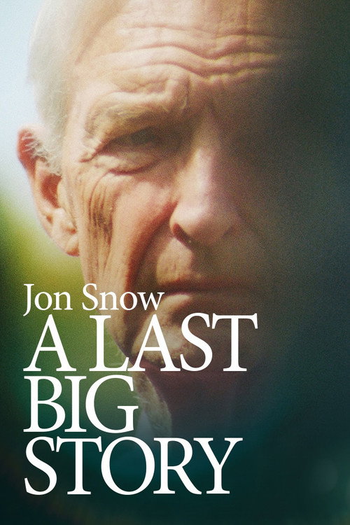 Movie poster for Jon Snow: A Last Big Story (2026)