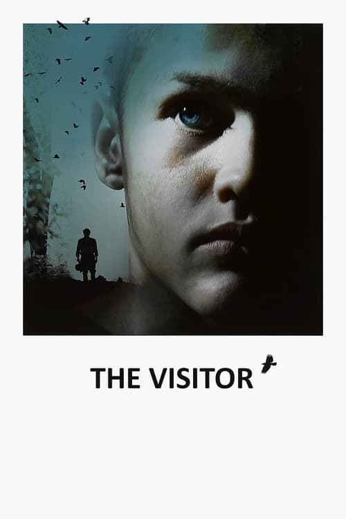 Movie poster for The Visitor (2008)