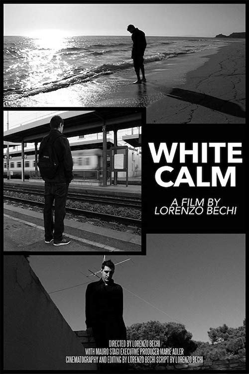 Movie poster for White Calm (2016)