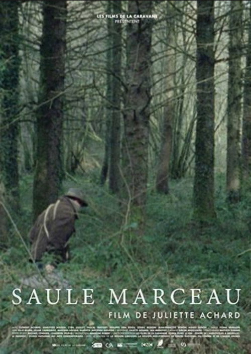 Movie poster for Saule Marceau (2017)