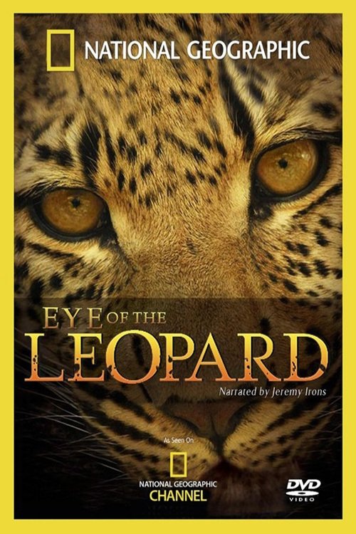 Movie poster for Eye of the Leopard (2006)