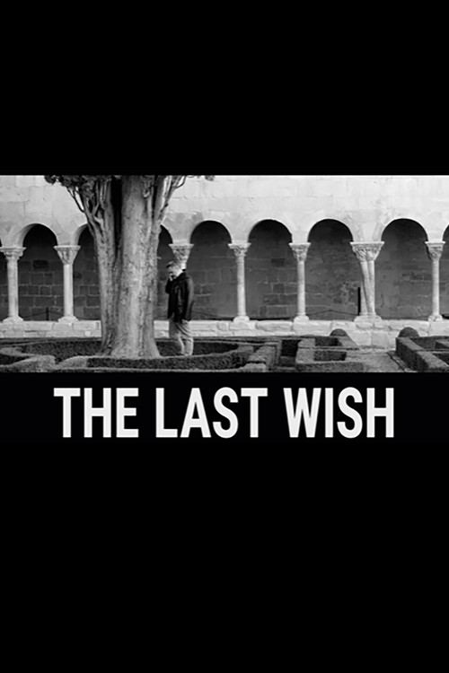 Movie poster for The Last Wish (2024)