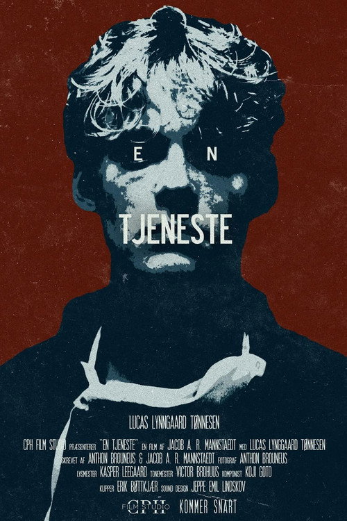 Movie poster for A Favor (2019)