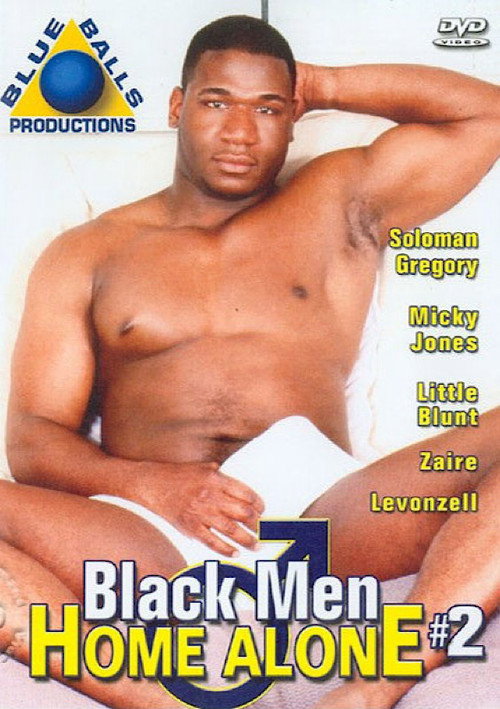 Movie poster for Black Men Home Alone 2 (2006)