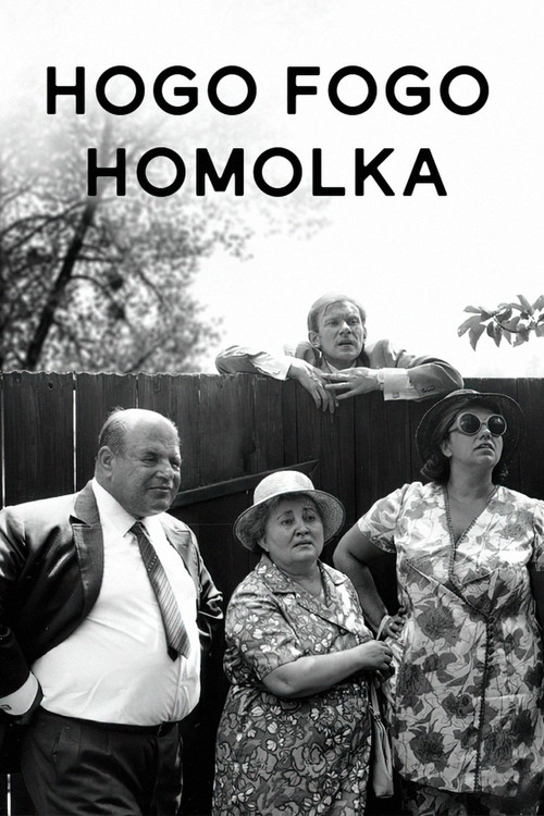 Movie poster for Hogo Fogo Homolka (1971)