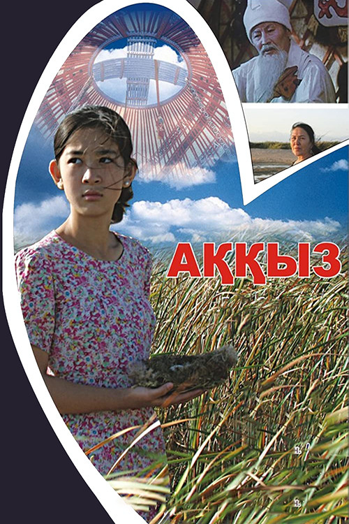 Movie poster for Akkyz (2011)