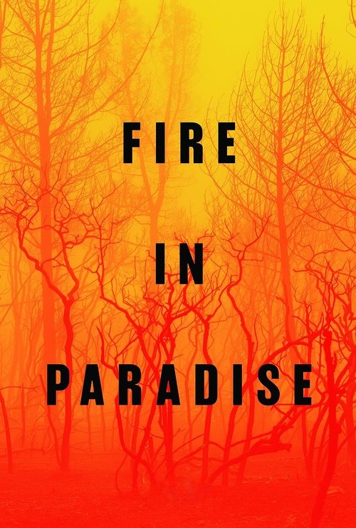 Movie poster for Fire in Paradise (2019)