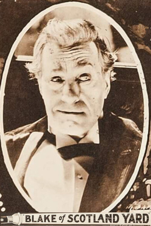 Movie poster for Blake of Scotland Yard (1927)