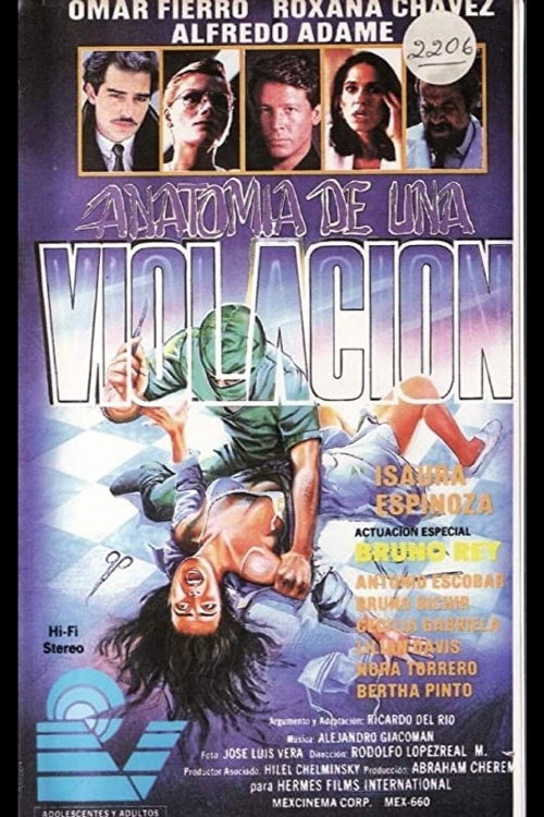 Movie poster for Anatomy of a Rape (1991)