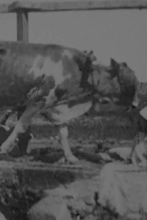 Movie poster for Egyptian Bullock-Pump Drawing Water (1897)