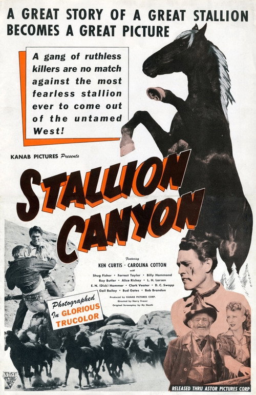 Movie poster for Stallion Canyon (1949)