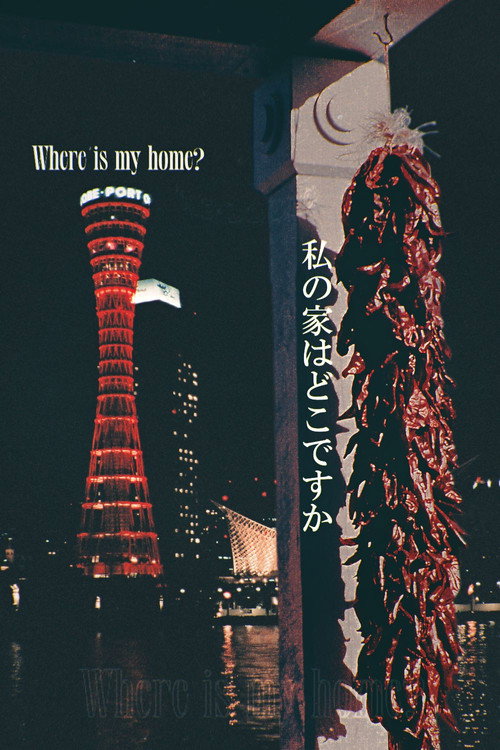 Movie poster for Where Is My Home? (2025)