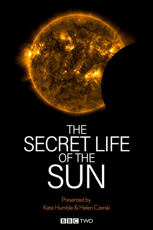 Movie poster for The Secret Life of the Sun (2013)